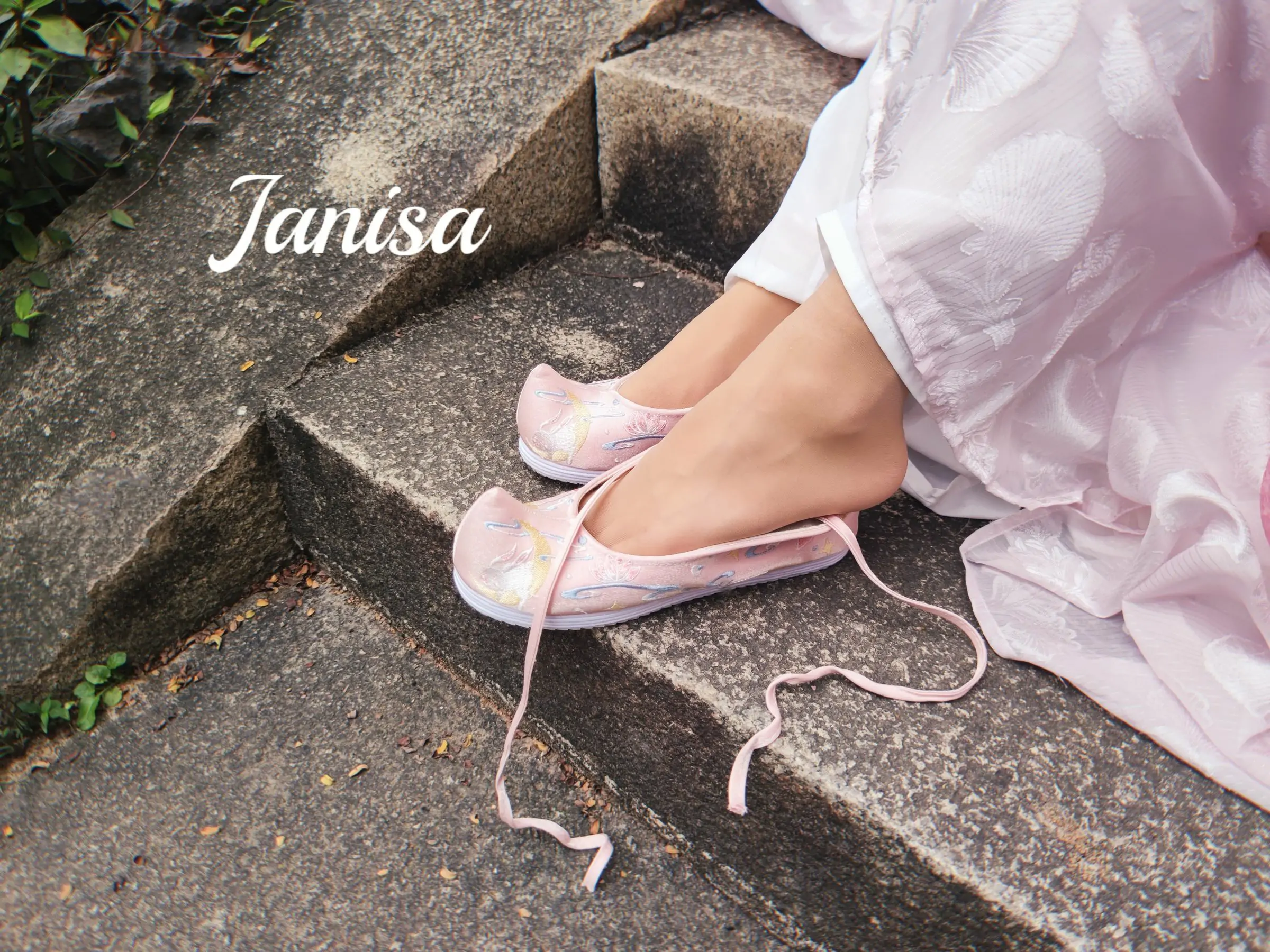 Janisa - 云想衣裳