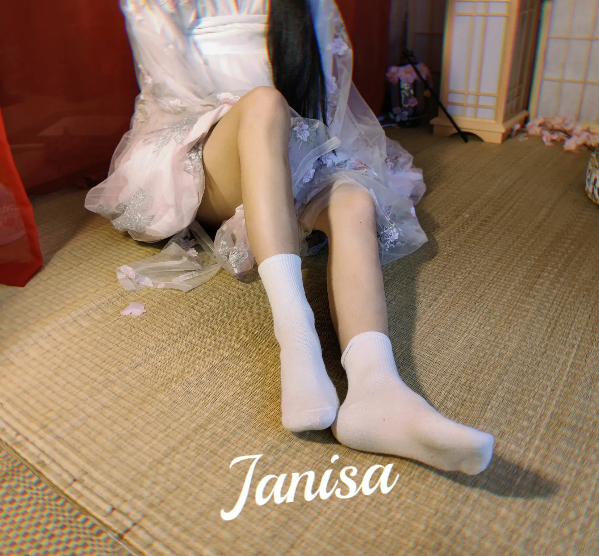 Janisa - 朝花向晚