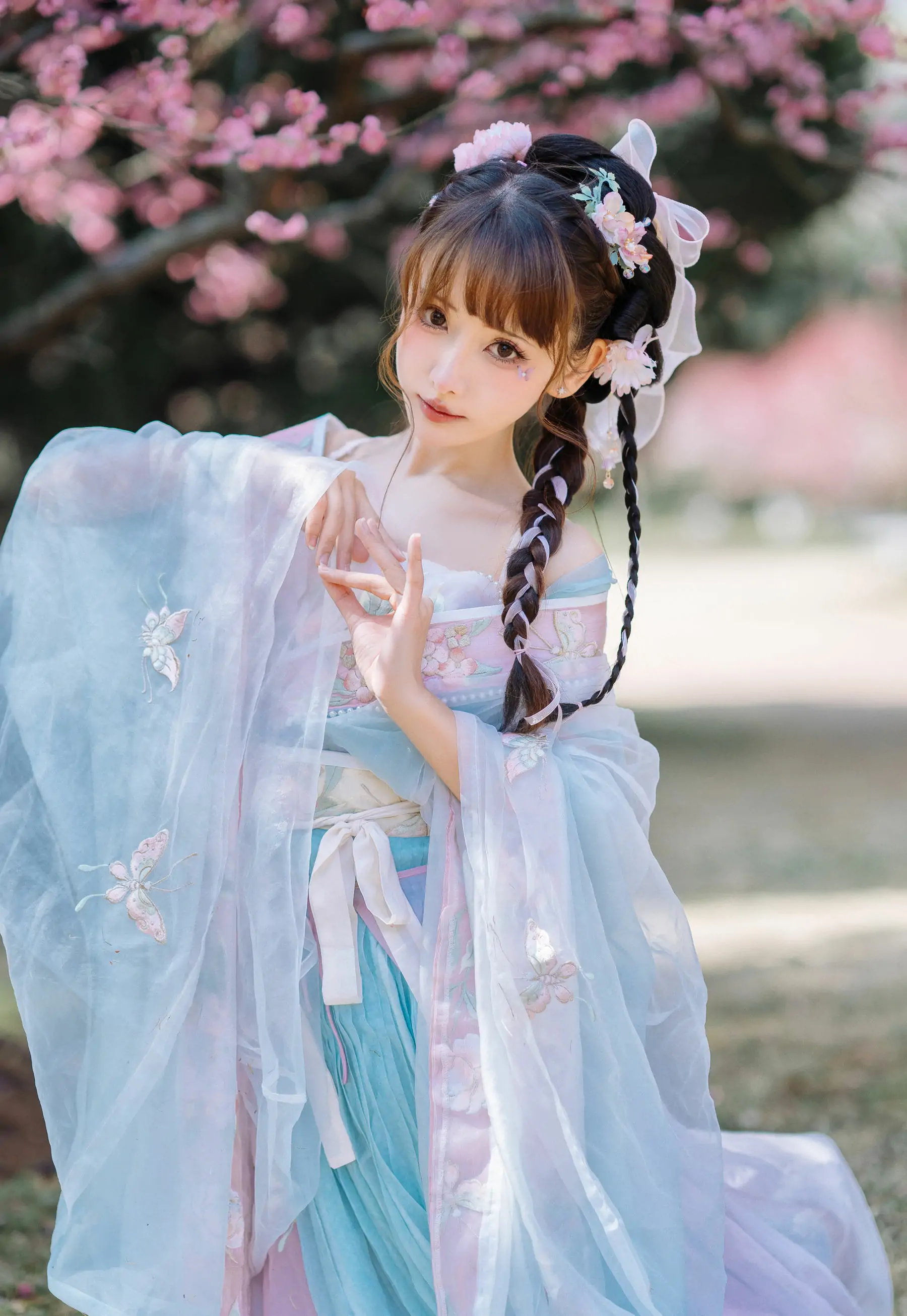 紫氯氯 – 二月梅花
