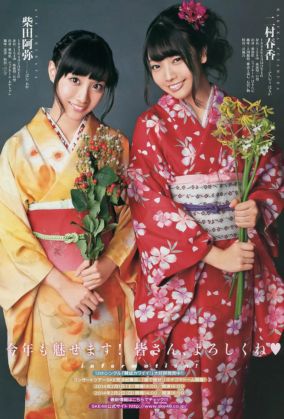 松井玲奈 柴田阿弥 二村春香 [Young Animal] 2014年No.02 写真杂志