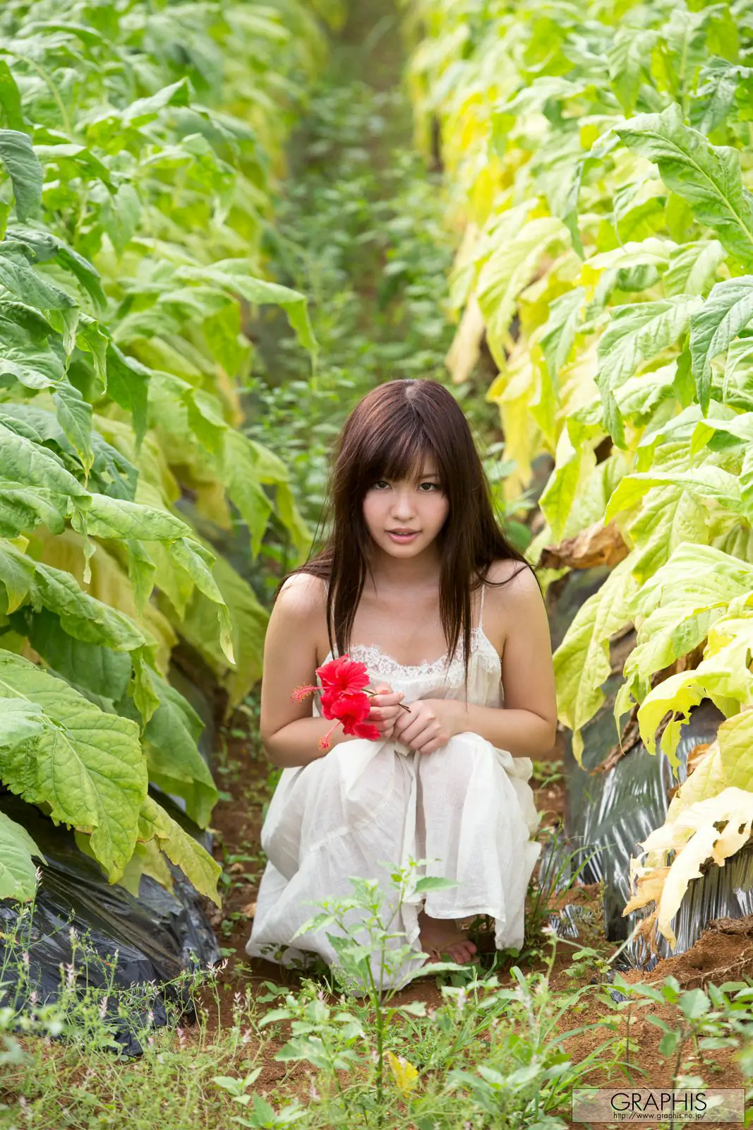 葉山めい/叶山芽衣 [Graphis] First Gravure 初脱ぎ娘 